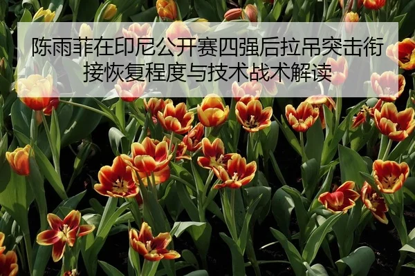 陈雨菲在印尼公开赛四强后拉吊突击衔接恢复程度与技术战术解读